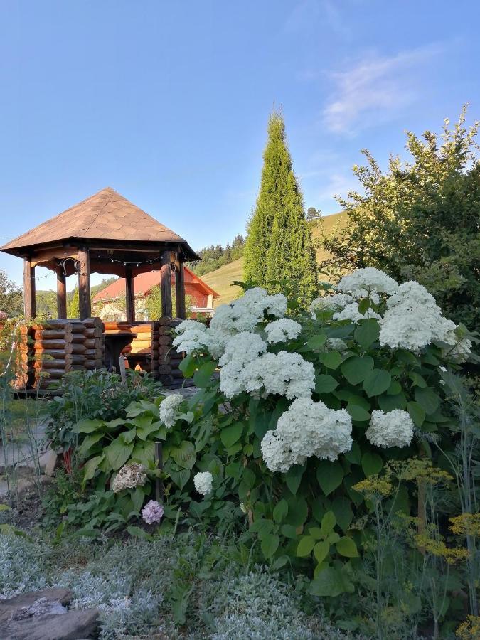 Pid Goroyu Hotel Chorna Tysa Екстериор снимка
